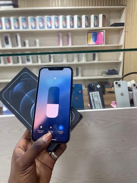 IPHONE 12 PRO MAX