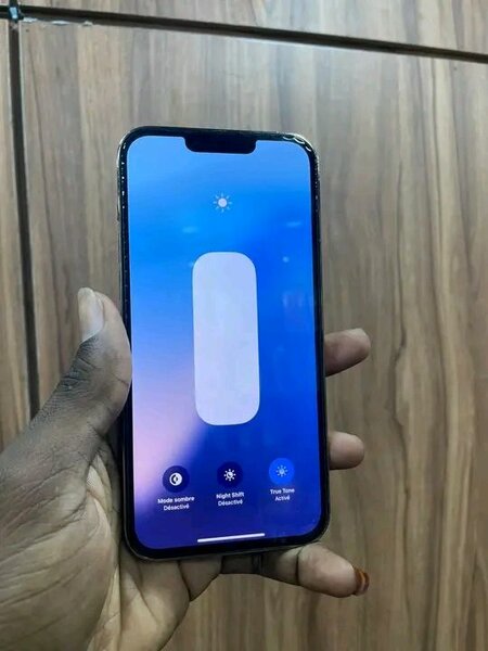 iPhone 13 Pro 256GB Argent