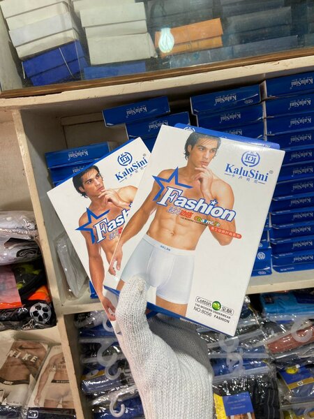 Chocoto boxer