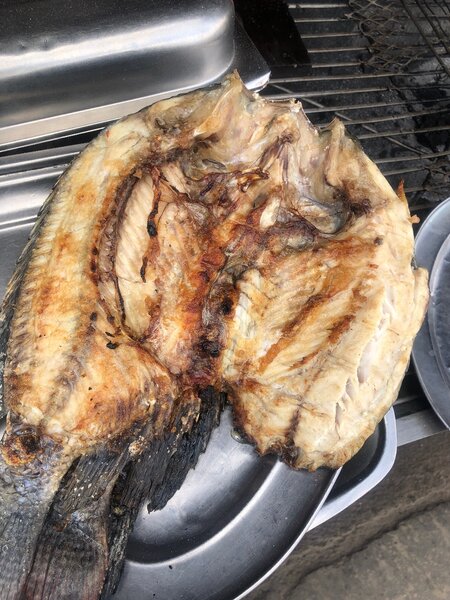 Fish