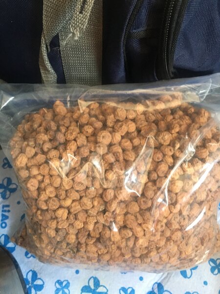 Tiger nut