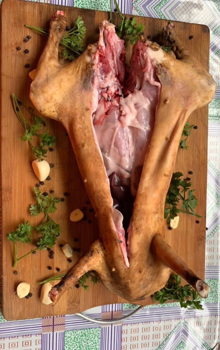 Lapin
