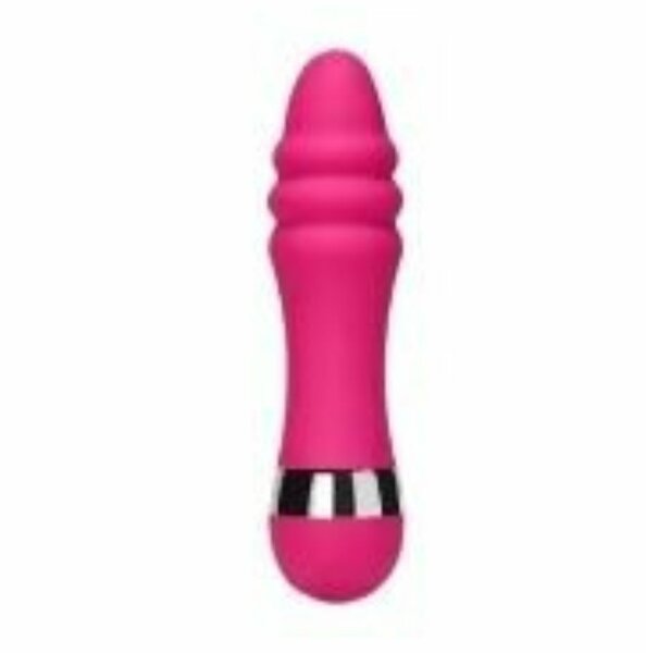 Vibrateur rose compact