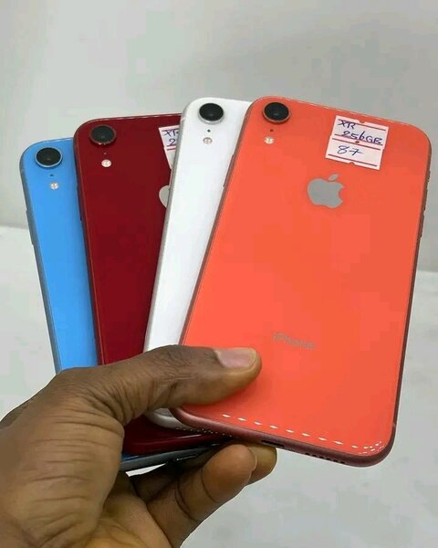 iPhone XR Couleurs Vives