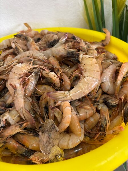 Grosses crevettes