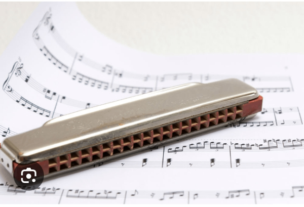 Harmoninca a 20 trou