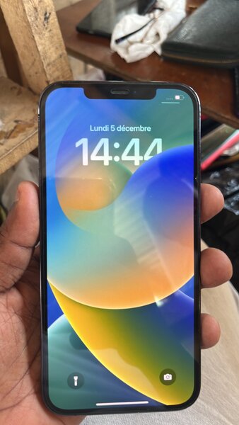 iPhone 12 Pro Max