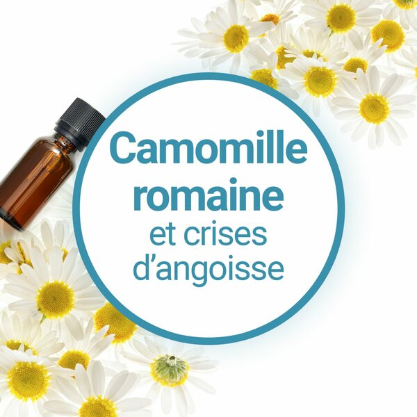 Huiles Essentielles Thérapeutiques