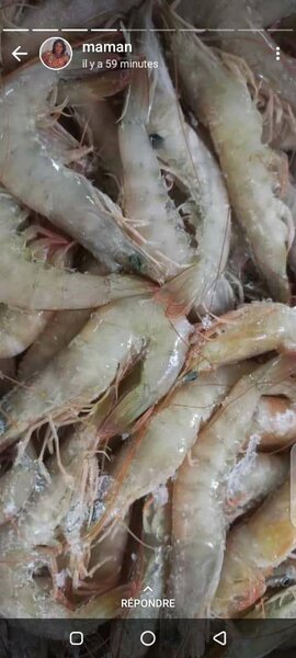Crevettes
