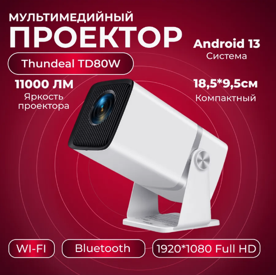 Thundeal TD80W