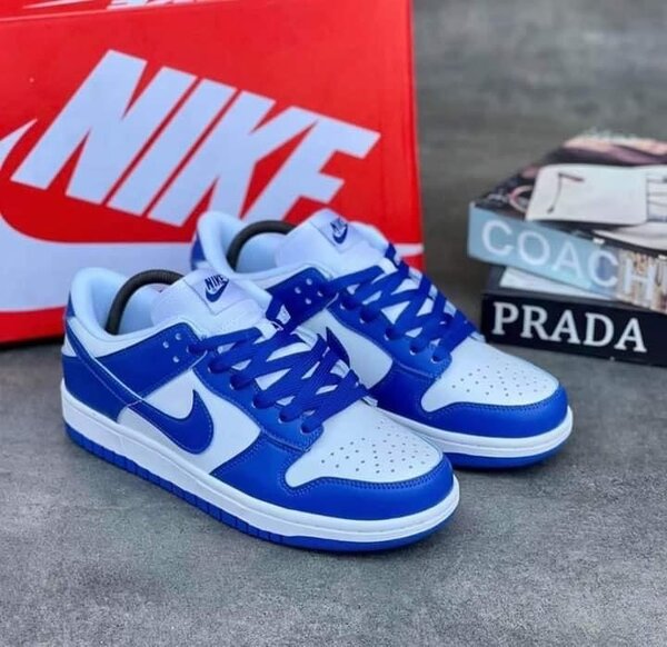 Nike low dunks