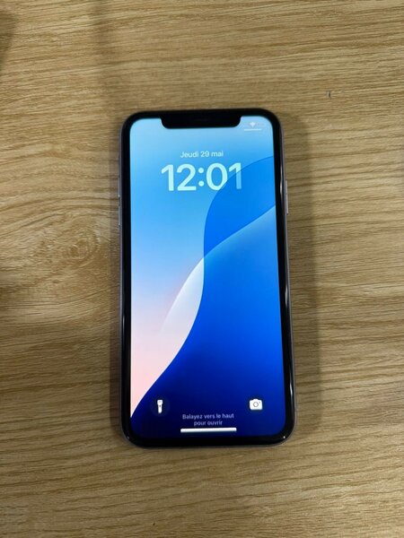 iPhone X