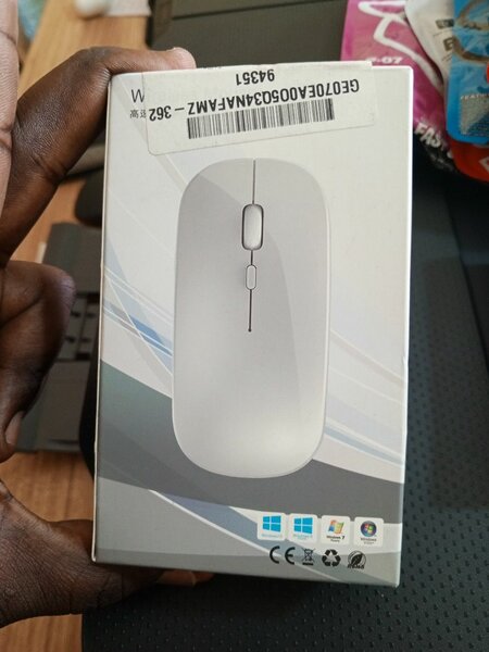 Souris sans fil élégante