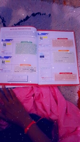 Livre d'anglais Win Skills 6e