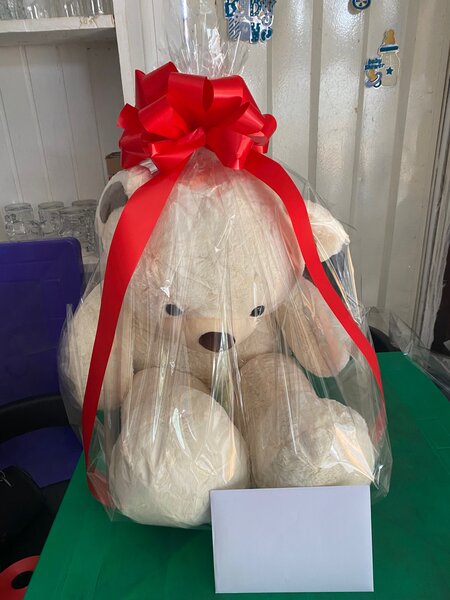 Teddy bear