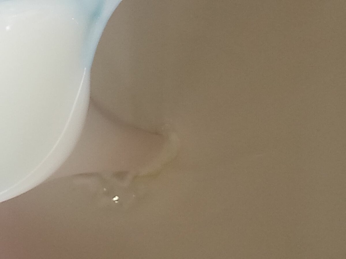 Deux pots de dêguê de 1, 5 L