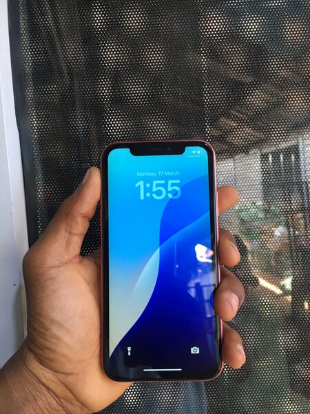 iPhone XR
