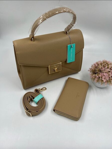 Brown ladies bag