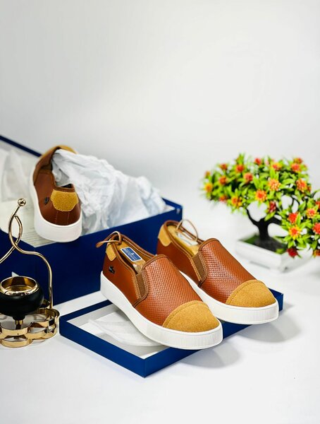 Lacoste Shoes