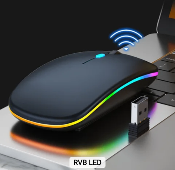 Souris sans fil rechargeable
