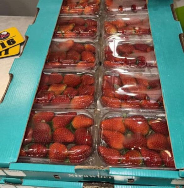 Fraises