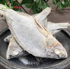 Koobi