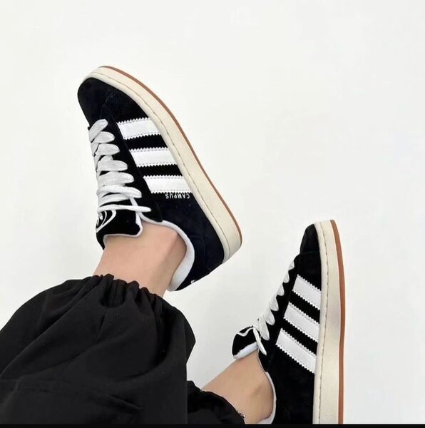 Adidas campus
