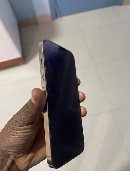 iPhone 12 Pro Max