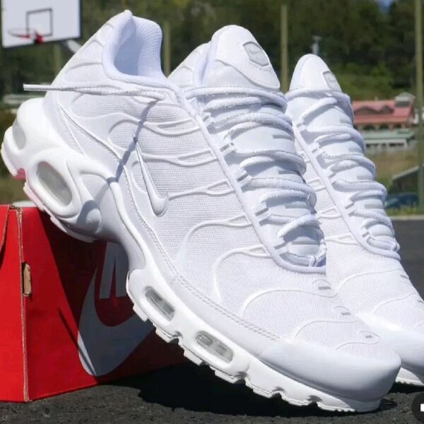 Basket nike Tn avec carton