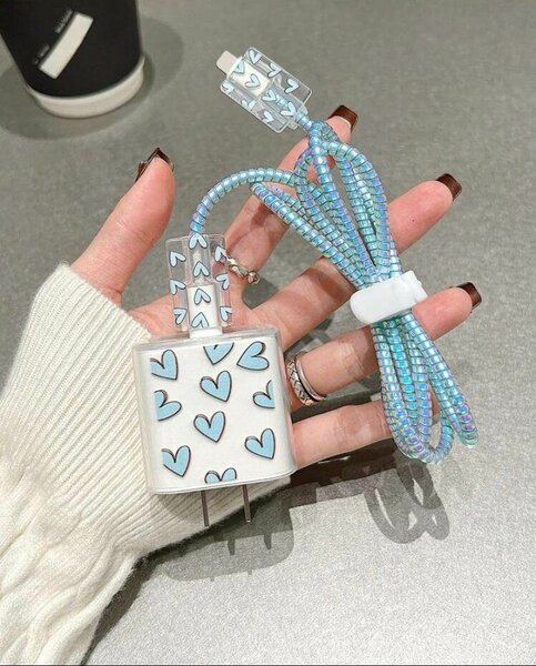 Charger protector
