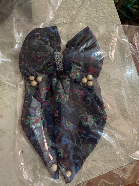 Ladies hair clips