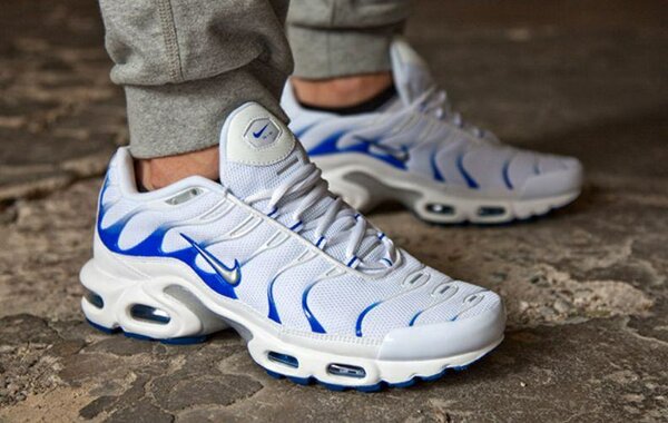 Nike air max plus bleu blanc