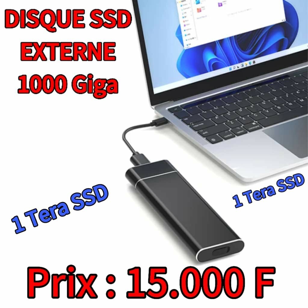 Disque SSD Externe 1To USB 3.0