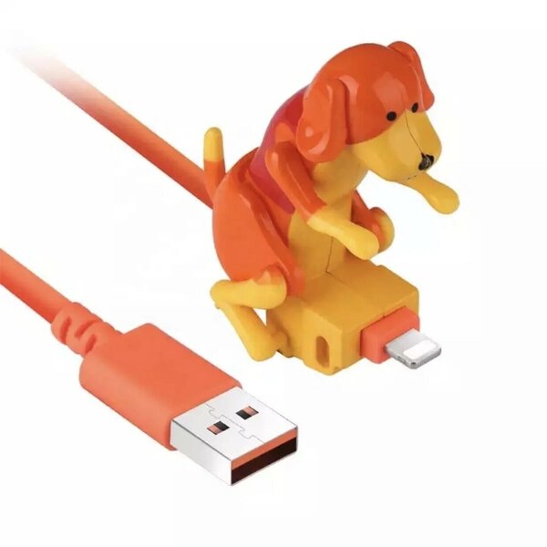 Câble rapide de Type C et Iphone