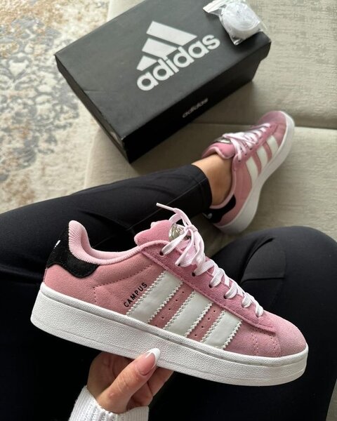 Adidas campus authentique