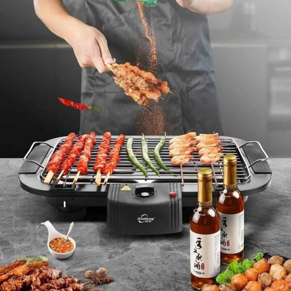 Electric Barbecue Grill