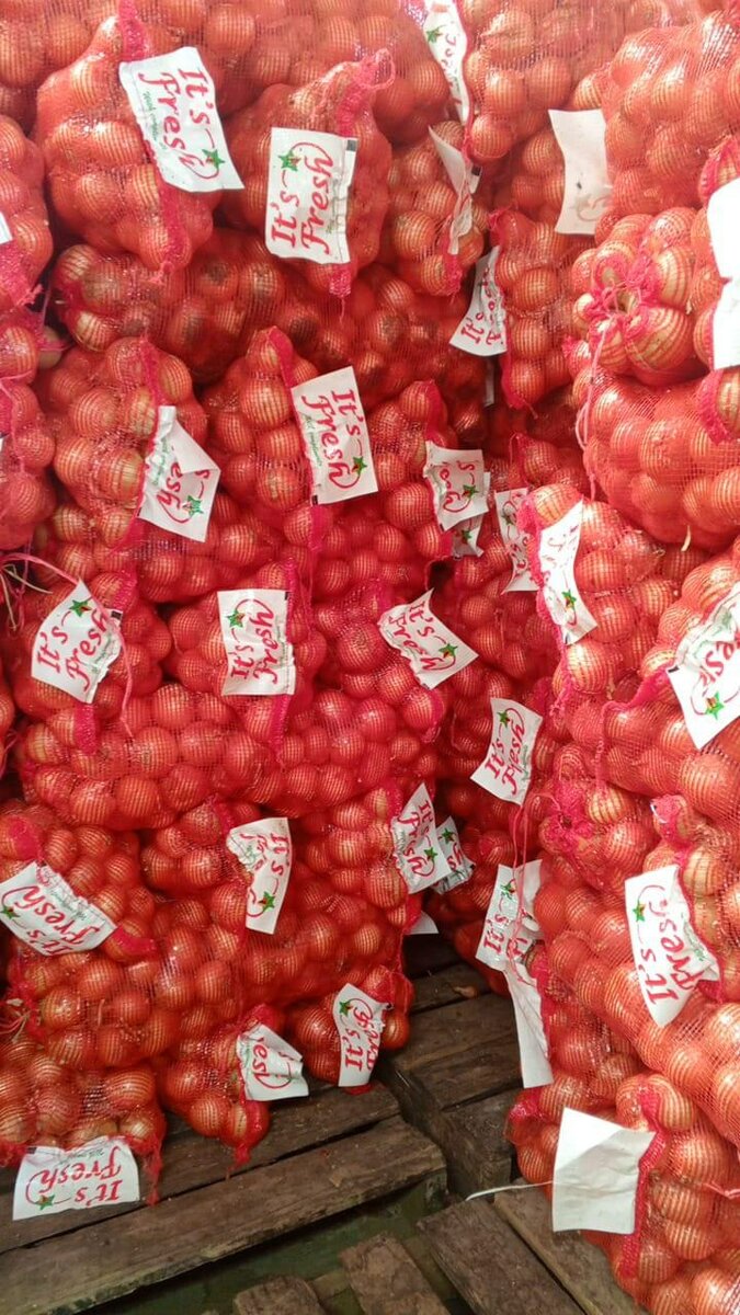Onion white dry