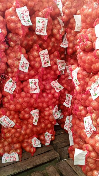Onion white dry
