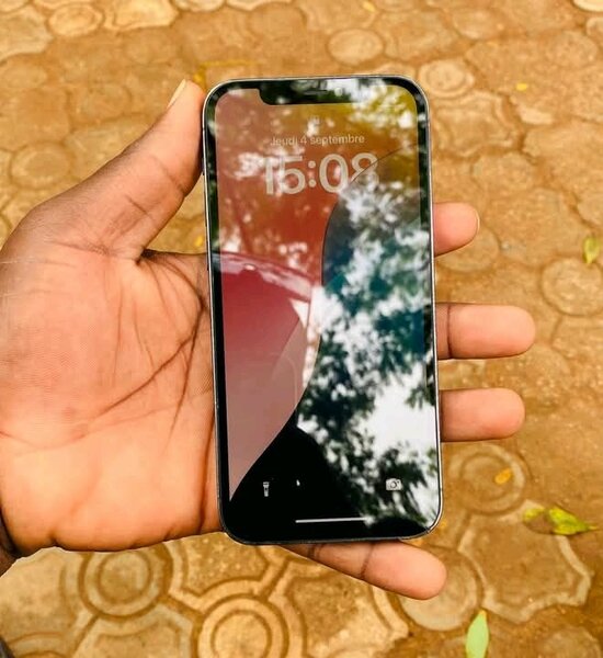 iPhone 256 Go Bleu