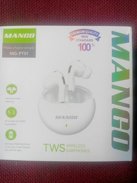 Mango pods