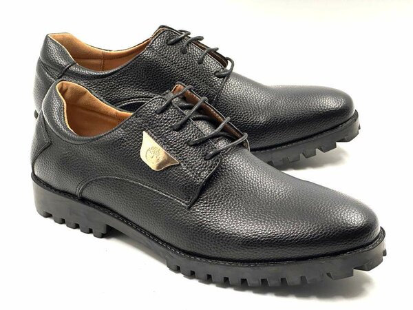 Dress shoes