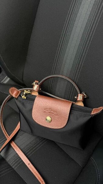 Sac longschamps élégant