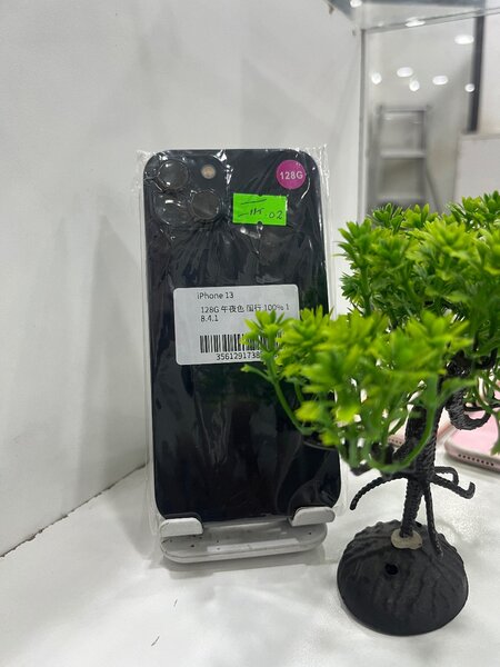 iPhone 13
