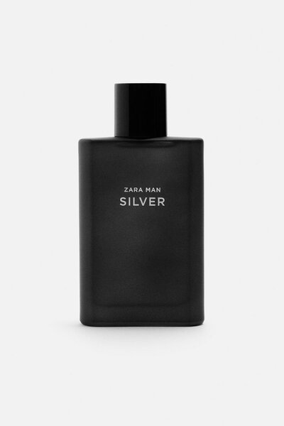 Zara Man Silver