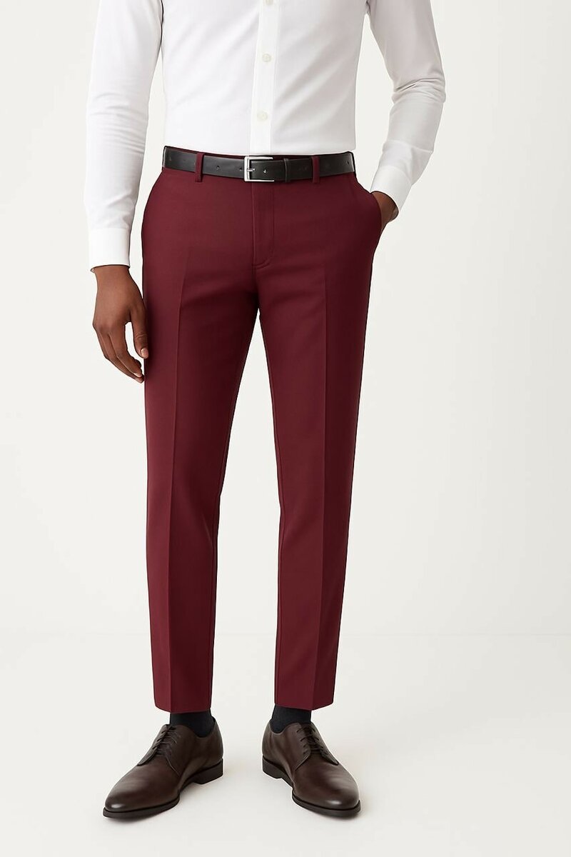 Pantalons élégants pour hommes