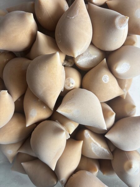 Jus de baobab