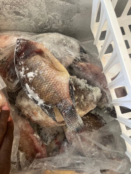 Poisson carpe