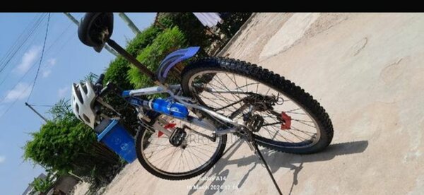 Mountain bike