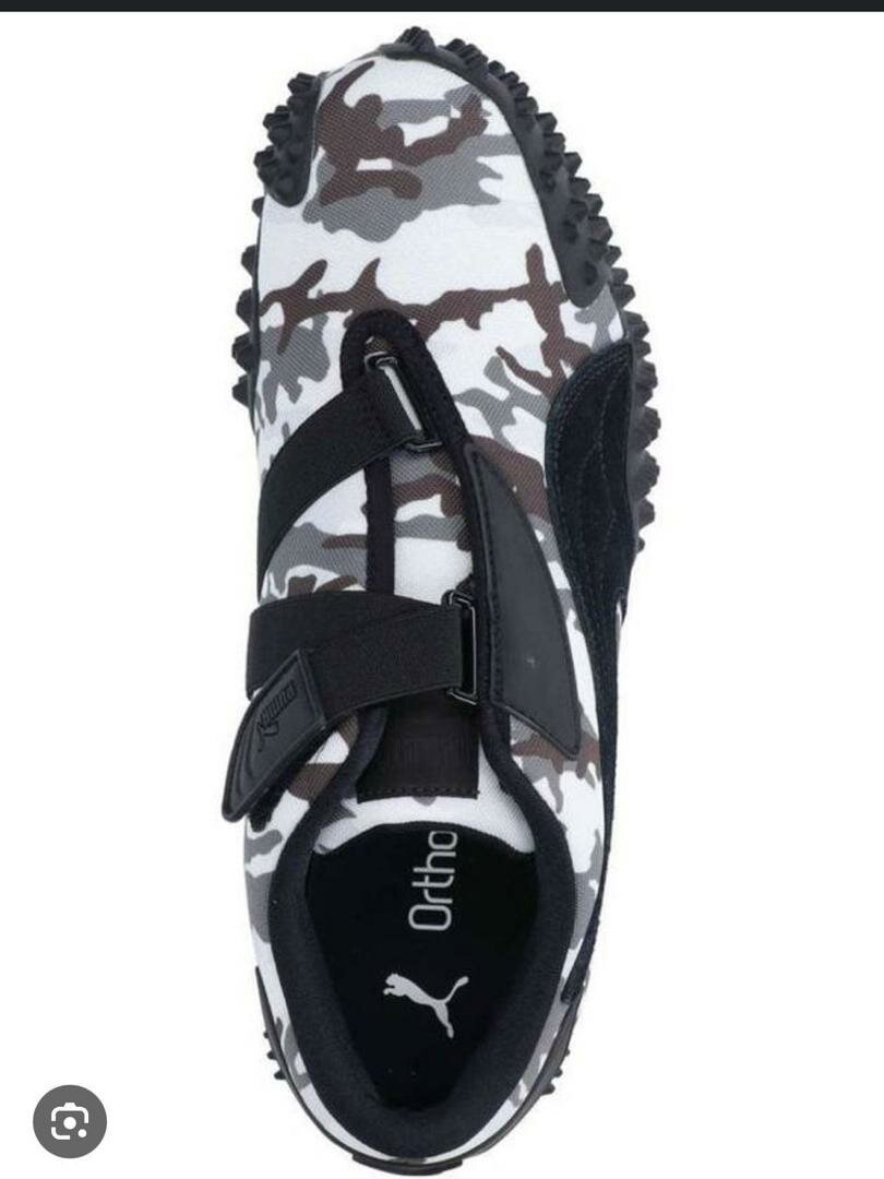 Puma monstro