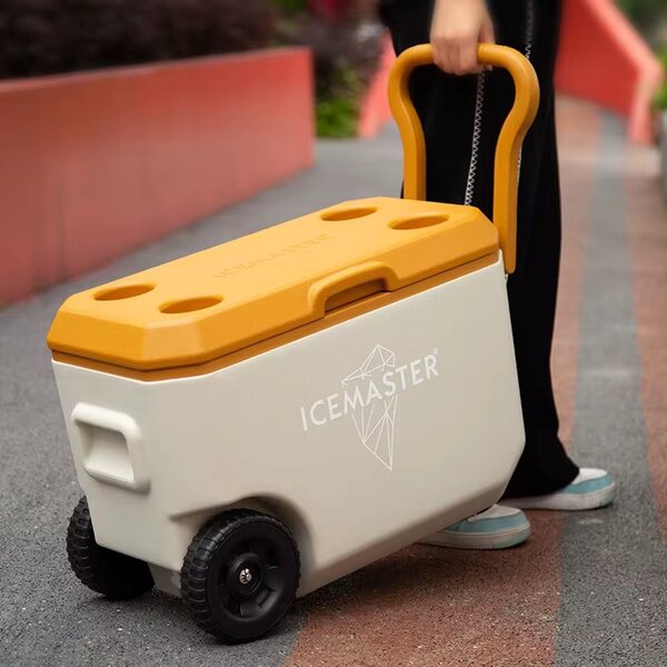 38L cooler box